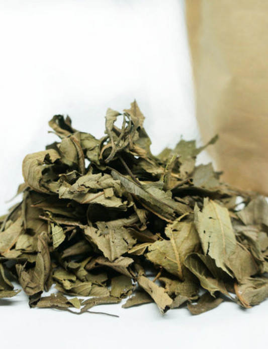 Les feuilles de khinkeliba